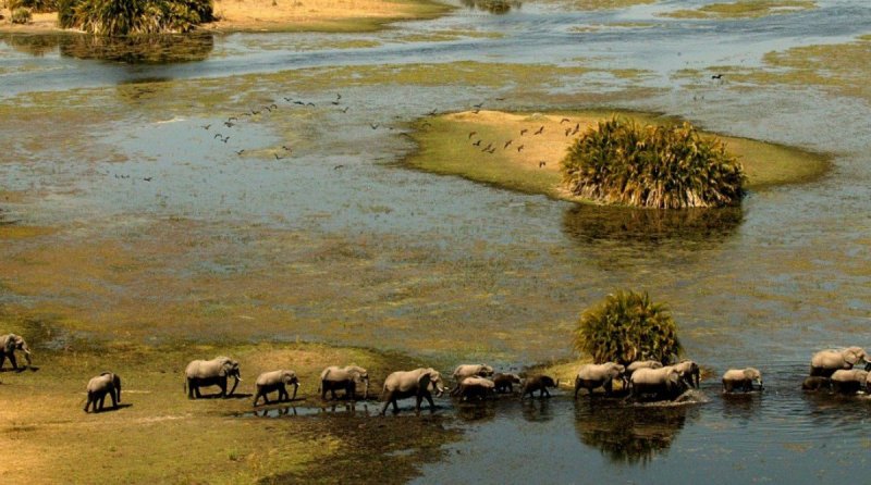 botswana-novy-web-002.jpg