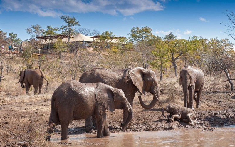 botswana-novy-web-011.jpg