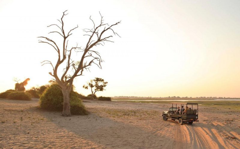 botswana-novy-web-013.jpg