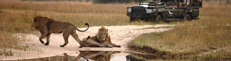 botswana-novy-web-016.jpg