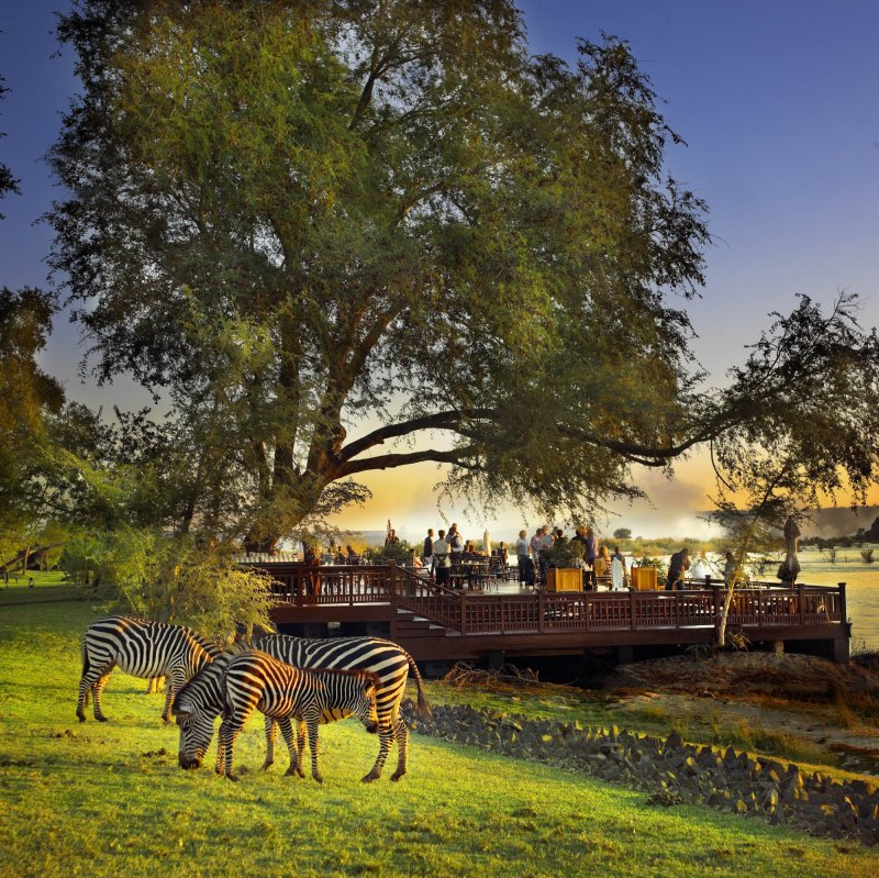 botswana-novy-web-022.jpg