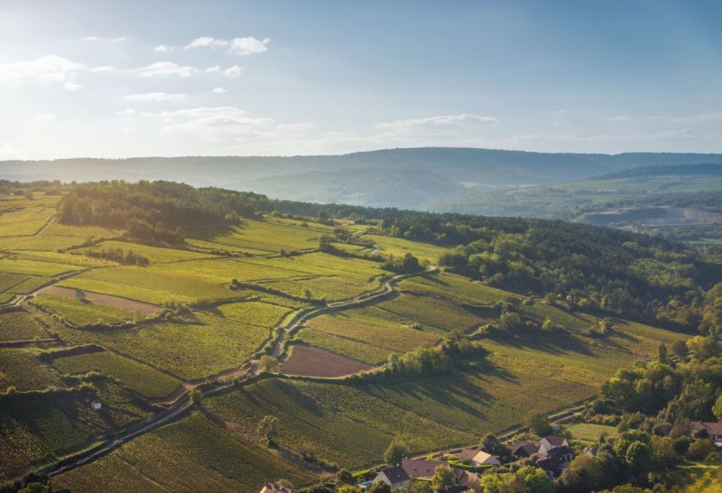 https://www.chateaulacommaraine.com/en/gallery.html