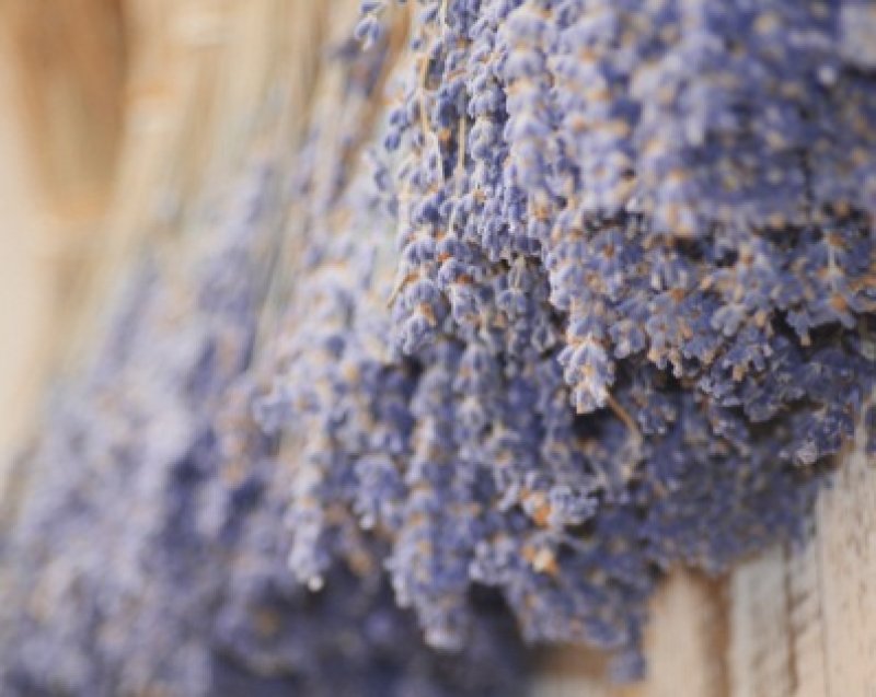 https://www.surmesure-hotels.com/hotels-en/la-cavalerie-provence