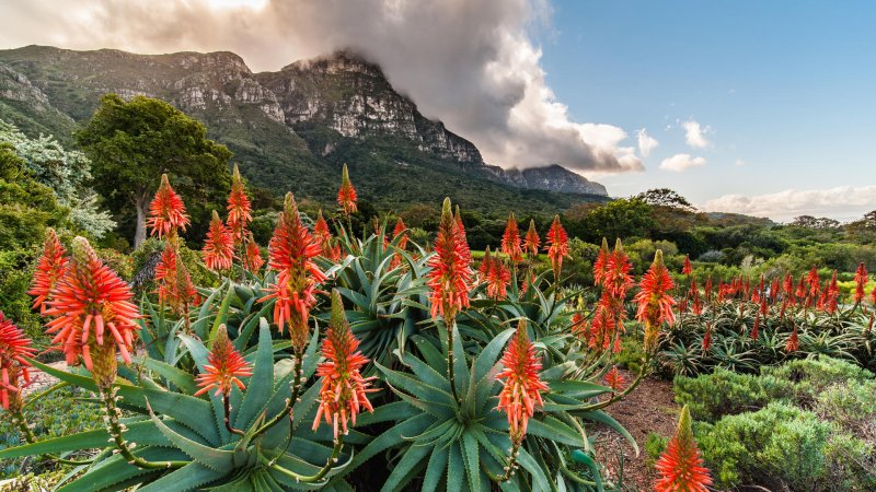https://tour.oatravel.co.za/