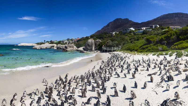 https://tour.oatravel.co.za/