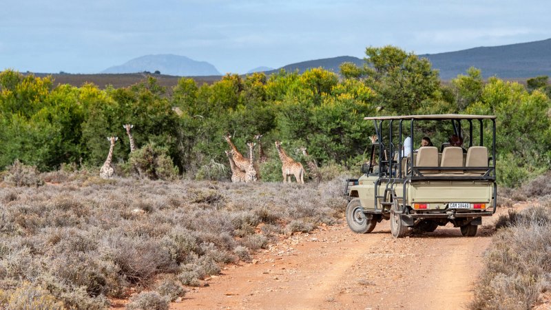 https://tour.oatravel.co.za/