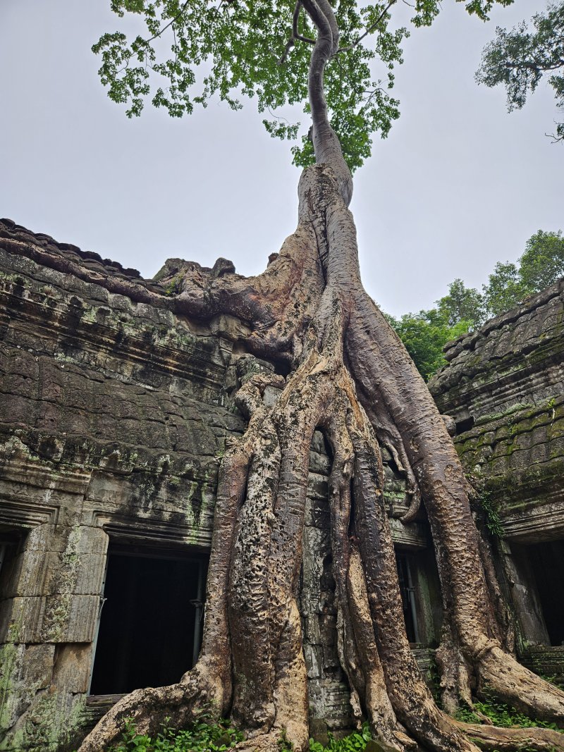 kambodza-fam-trip-vendy-011.jpg