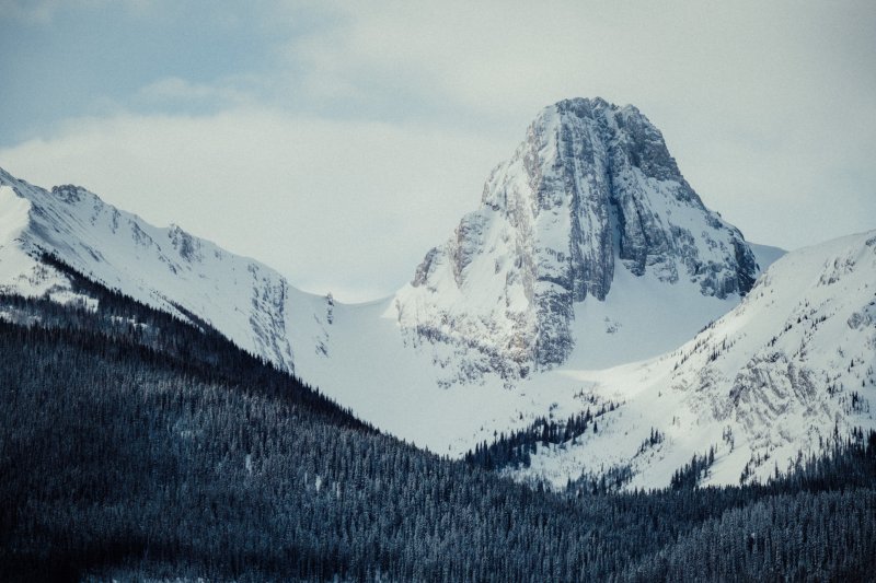 https://entreedestinations.com/