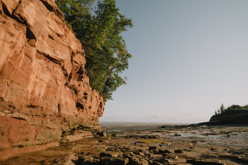 https://entreedestinations.com/