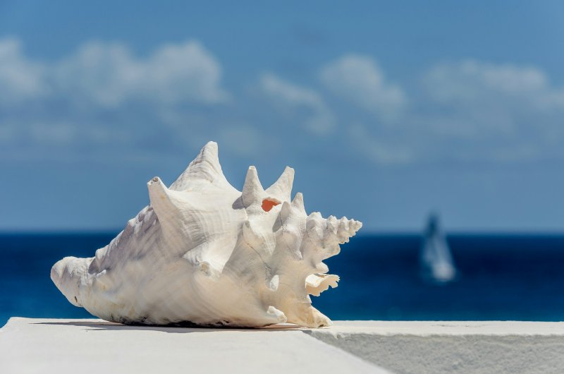 https://unsplash.com/