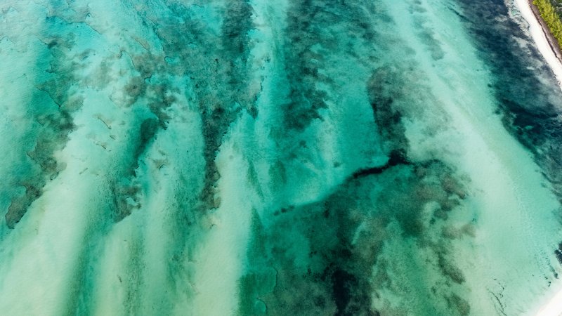 https://unsplash.com/