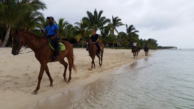 mauricius-novy-web-039.jpg