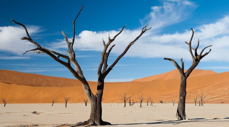namibie-novy-web-001.jpg