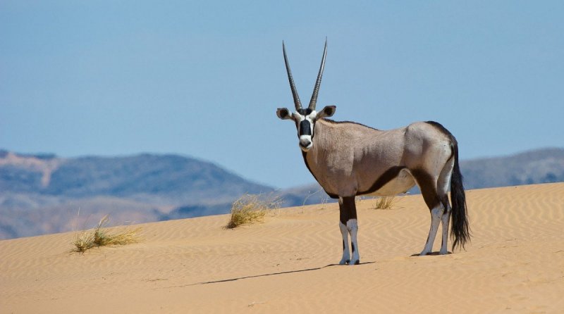 namibie-novy-web-002.jpg