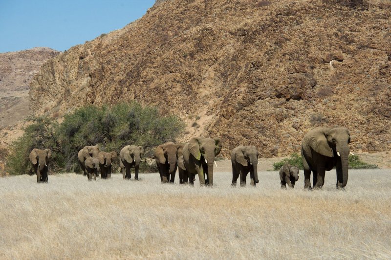 namibie-novy-web-006.jpg