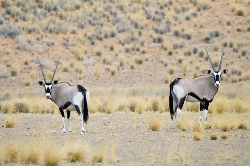 namibie-novy-web-008.jpg