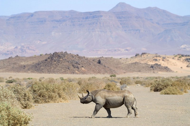 namibie-novy-web-009.jpg