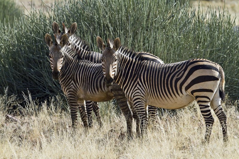 namibie-novy-web-012.jpg