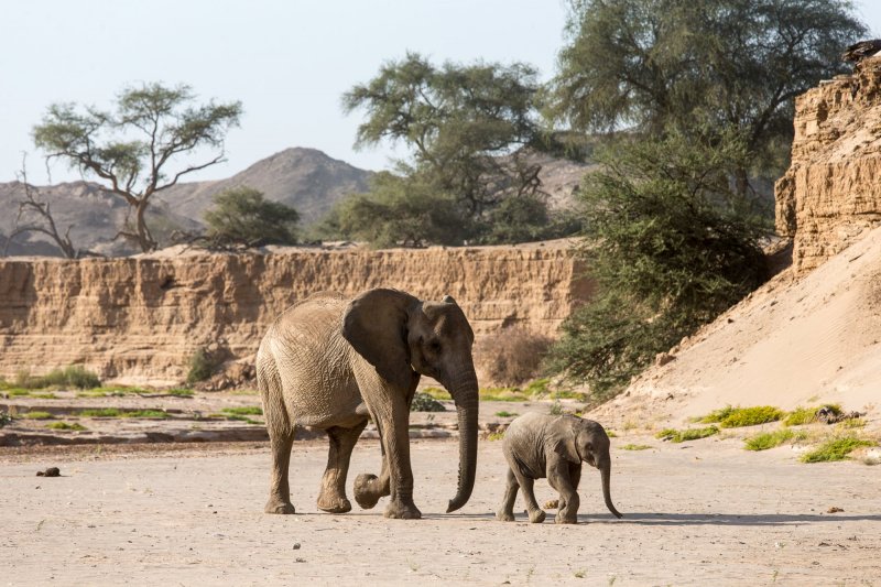 namibie-novy-web-016.jpg