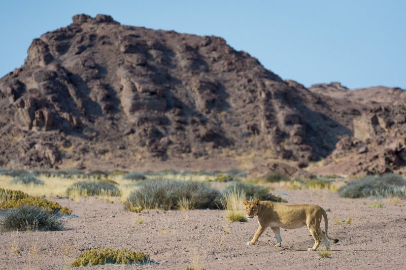 namibie-novy-web-019.jpg