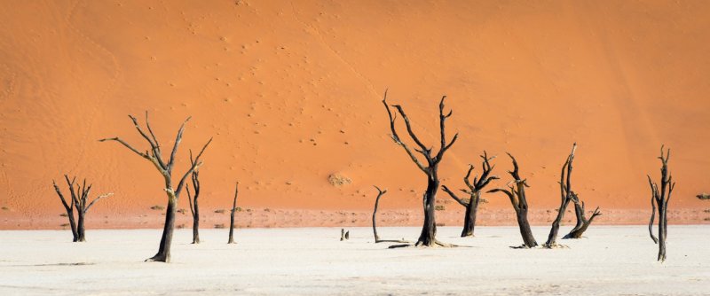 namibie-novy-web-021.jpg
