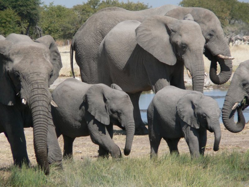 namibie-novy-web-023.jpg
