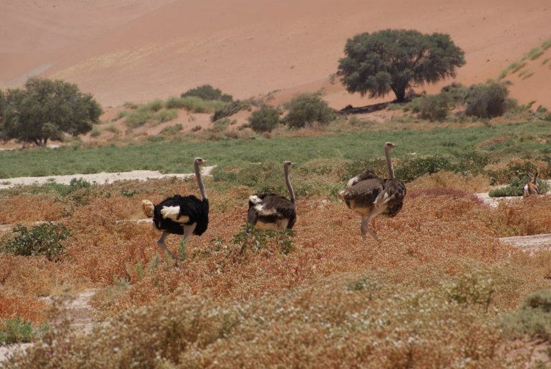 namibie-novy-web-028.jpg