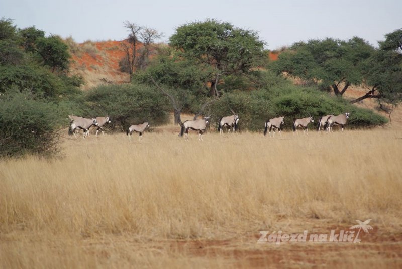 namibie-novy-web-048.jpg