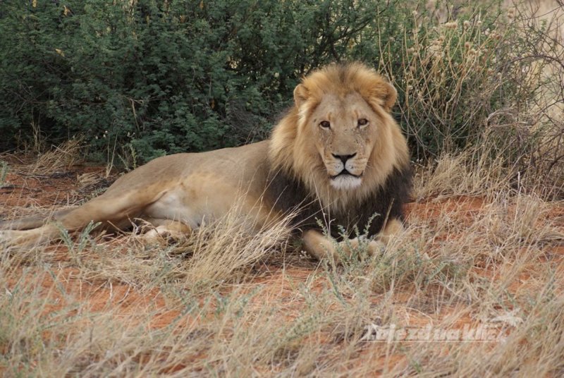 namibie-novy-web-049.jpg