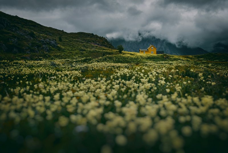 https://unsplash.com/