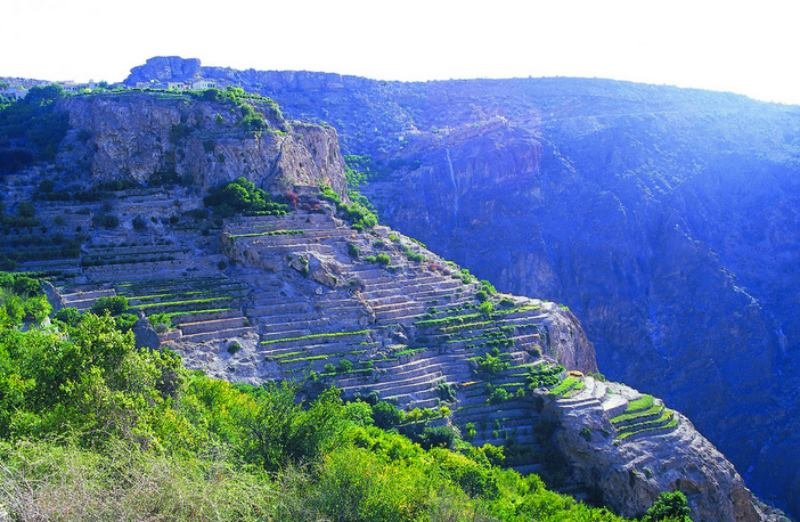 oman-novy-web-002.jpg