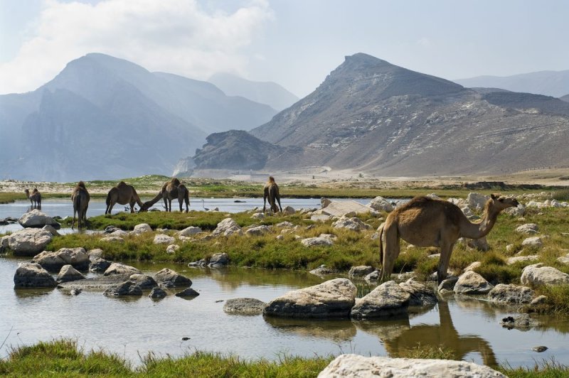 oman-novy-web-010.jpg
