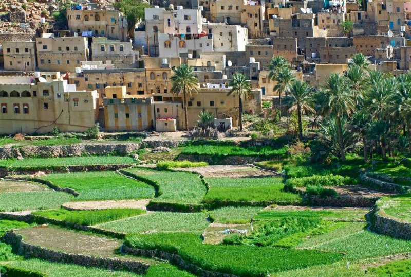 oman-novy-web-032.jpg