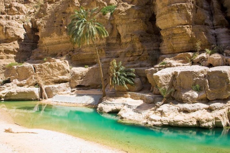 oman-novy-web-033.jpg