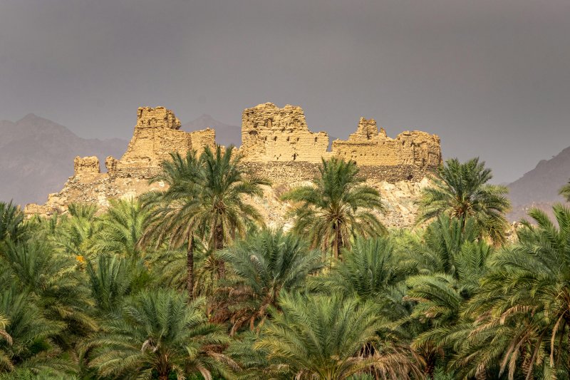 oman-novy-web-063.jpg