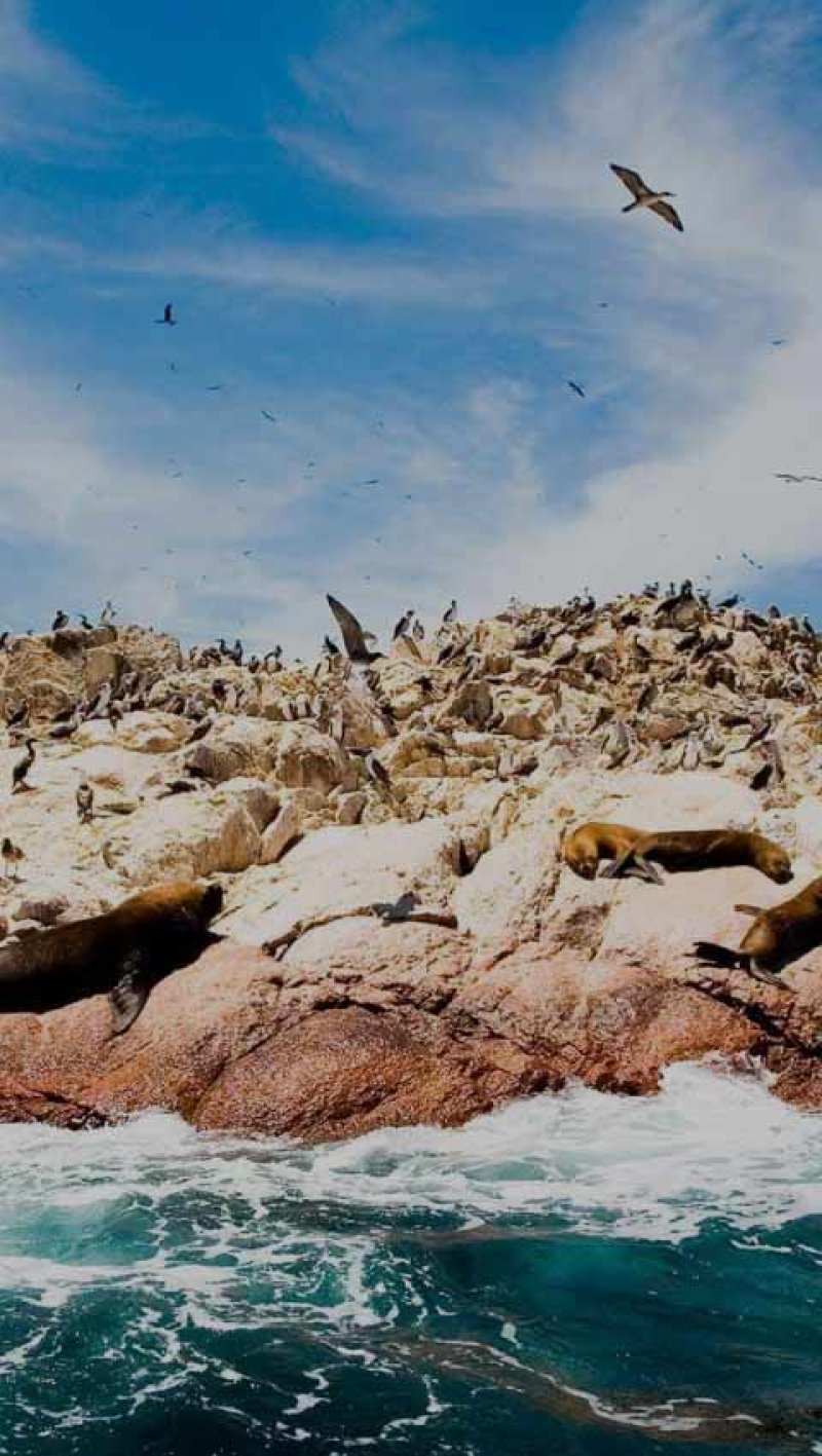 https://www.peru.travel/