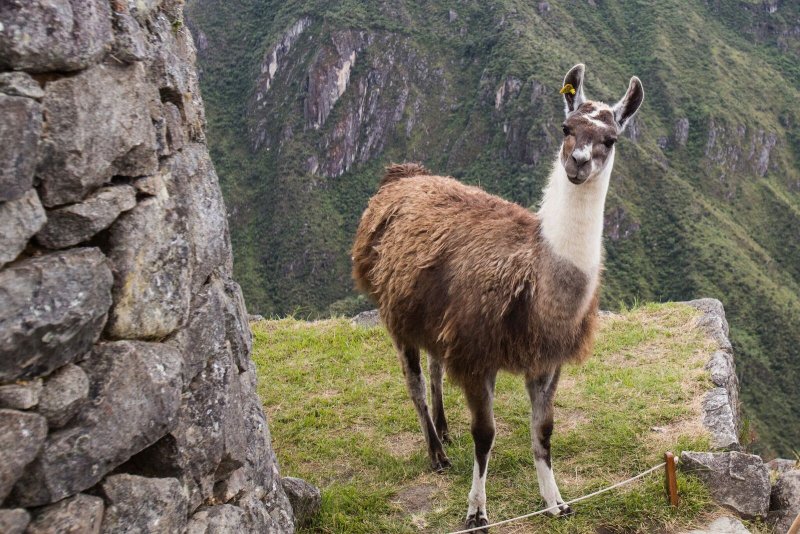 https://www.peru.travel/
