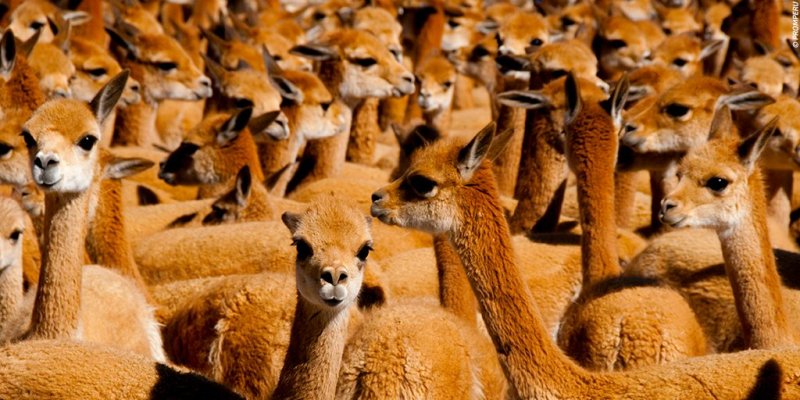 https://www.peru.travel/