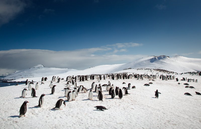 polarni-expedice-017.jpg