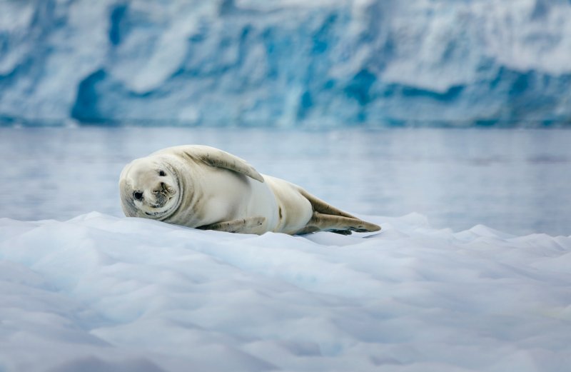 polarni-expedice-040.jpg