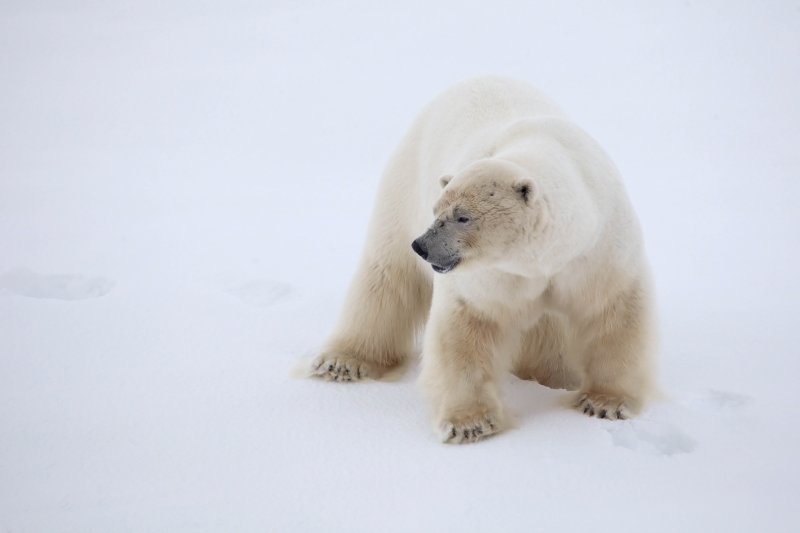 polarni-expedice-049.jpg