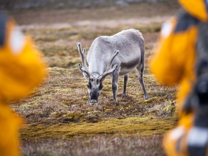 polarni-expedice-051.jpg