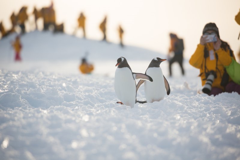 polarni-expedice-066.jpg