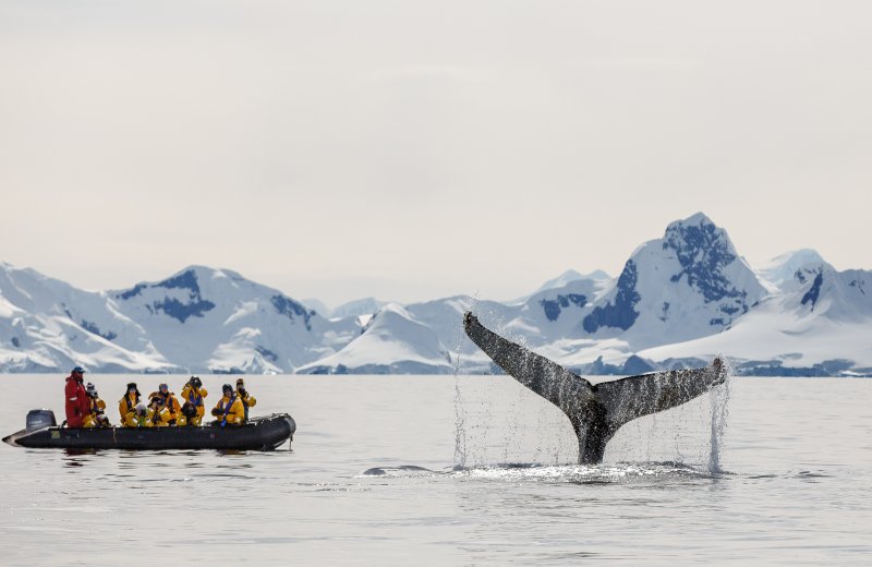 polarni-expedice-121.jpg