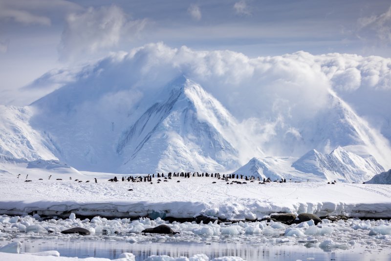 Quark Expeditions