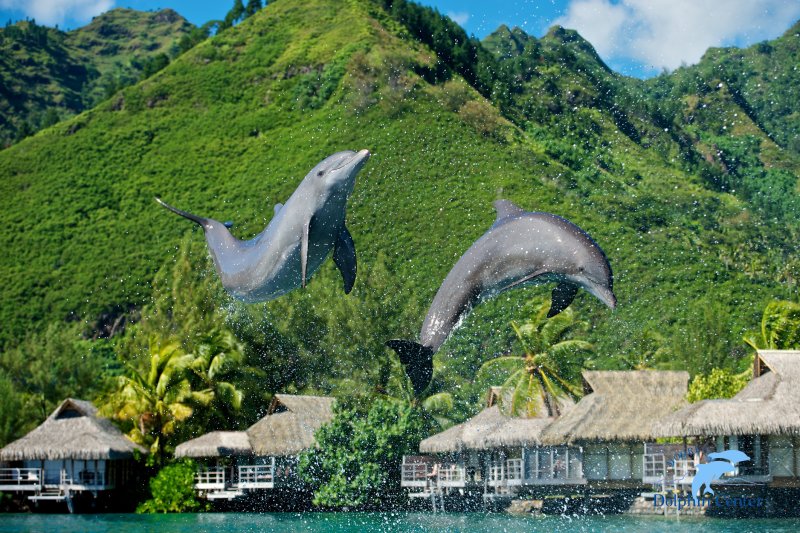 polynesie-novy-web-085.jpg