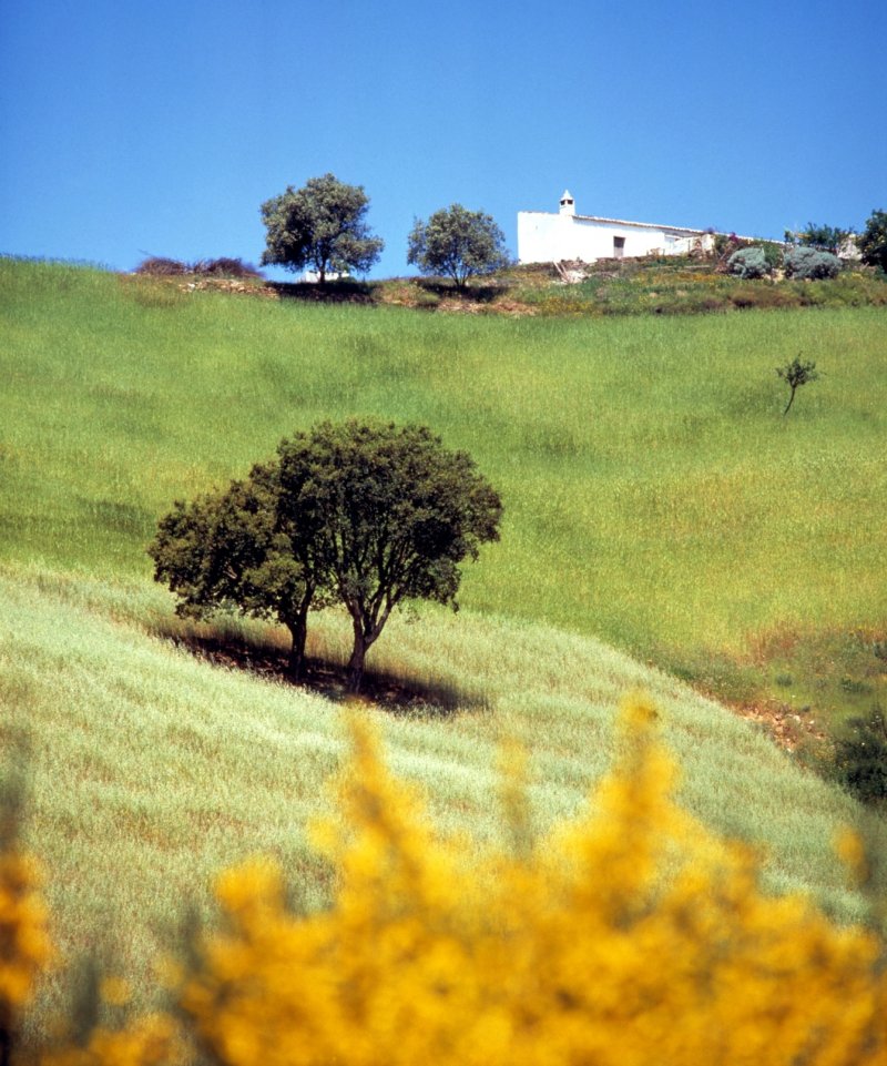 portugalsko-035.jpg