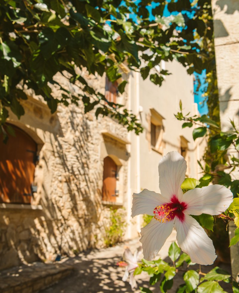 https://ikosresorts.com/resorts/ikos-kissamos/