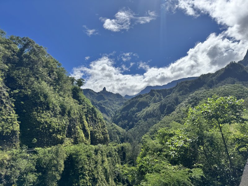reu-mru-012.jpg