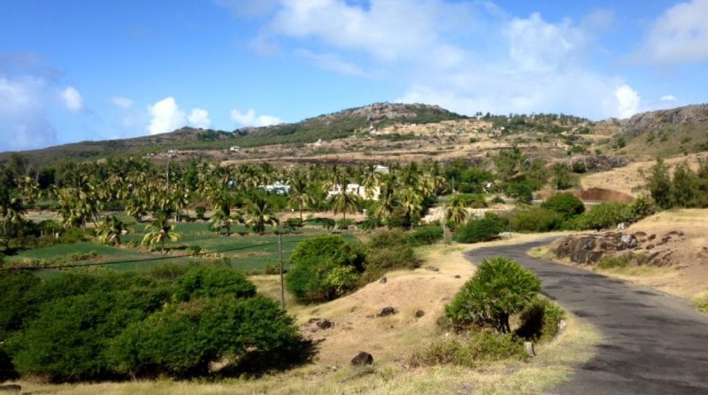 rodrigues-002.jpg